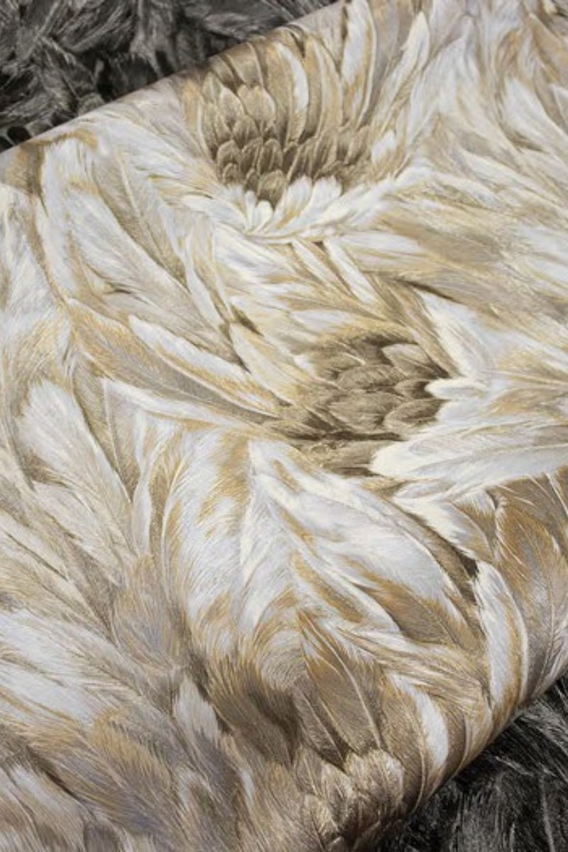 Soft Feather Wallpaper