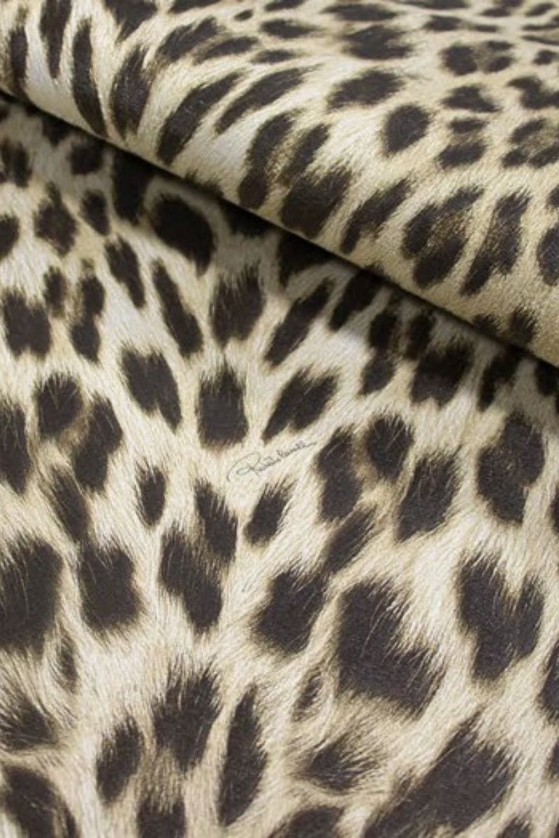 Jaguar Mombasa Wallpaper