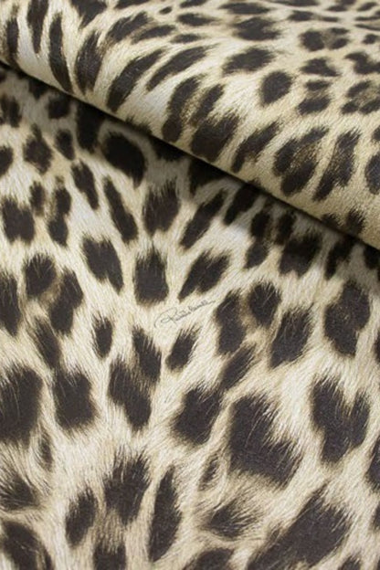 Jaguar Mombasa Wallpaper