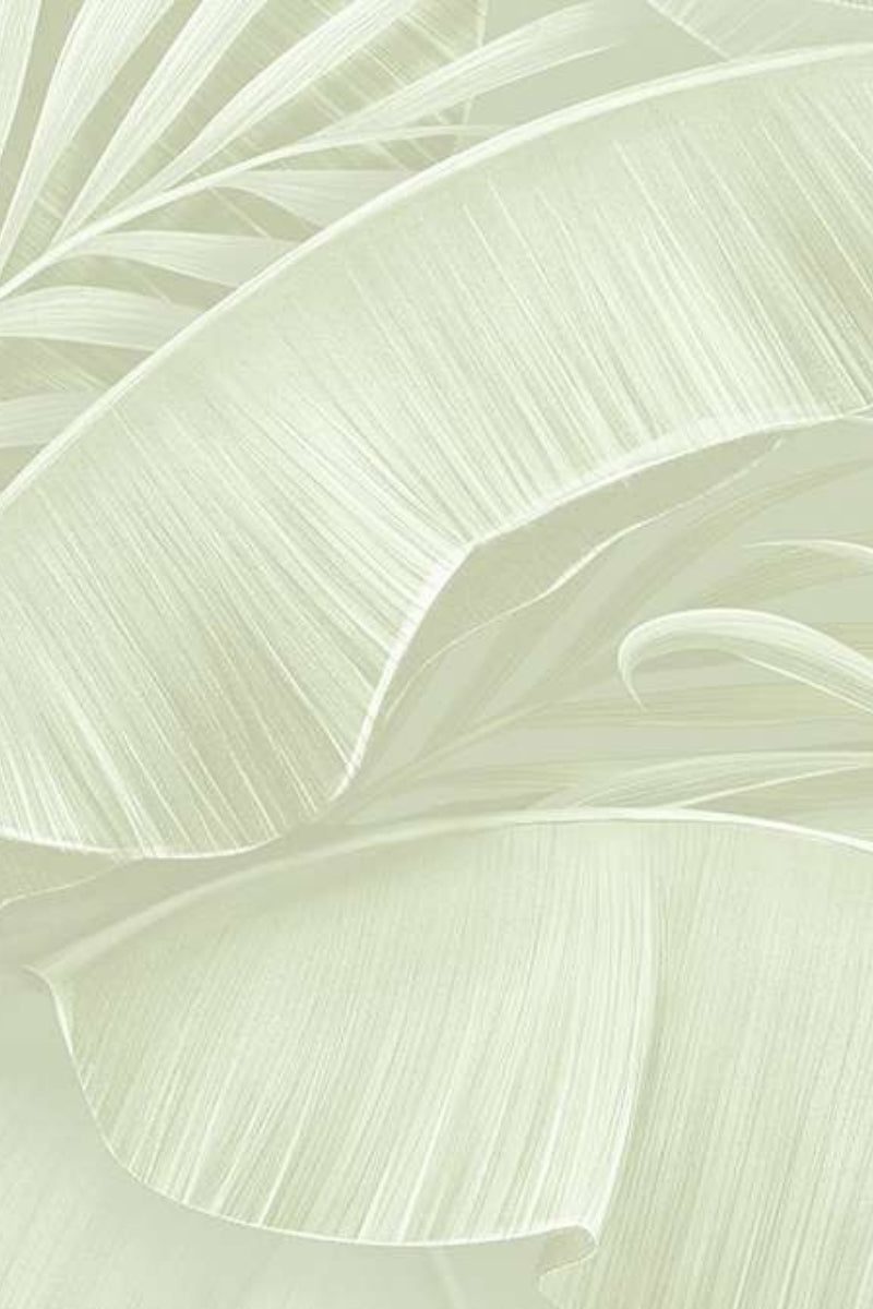 Palm Canopy Wallpaper