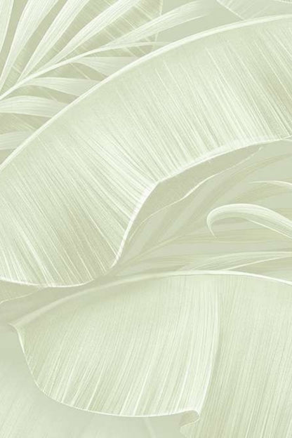 Palm Canopy Wallpaper