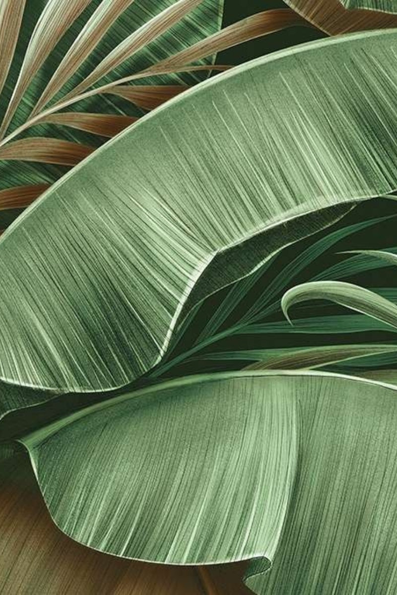 Palm Canopy Wallpaper