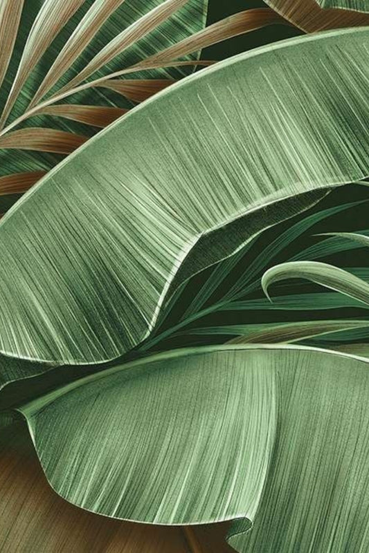 Palm Canopy Wallpaper