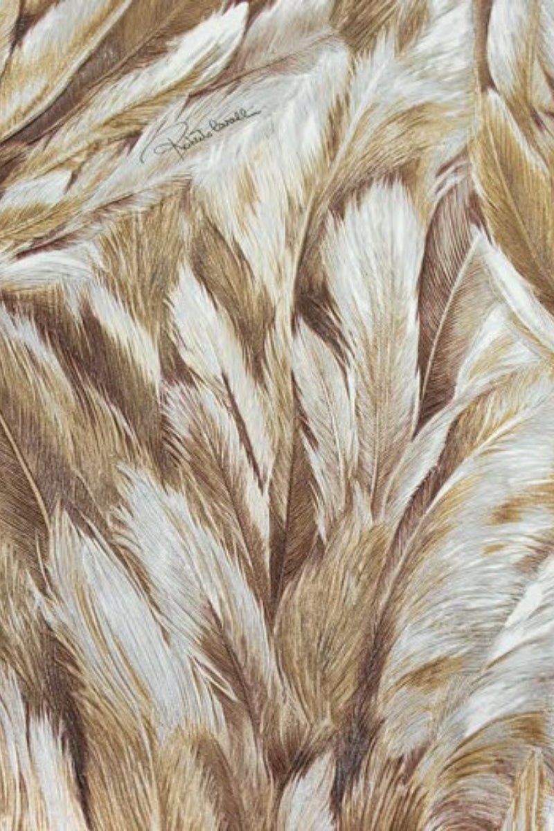 Soft Feather Wallpaper