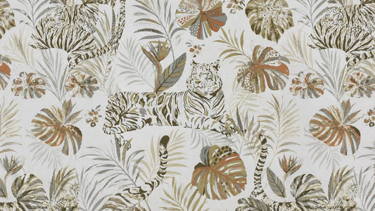Amazon Wallpaper