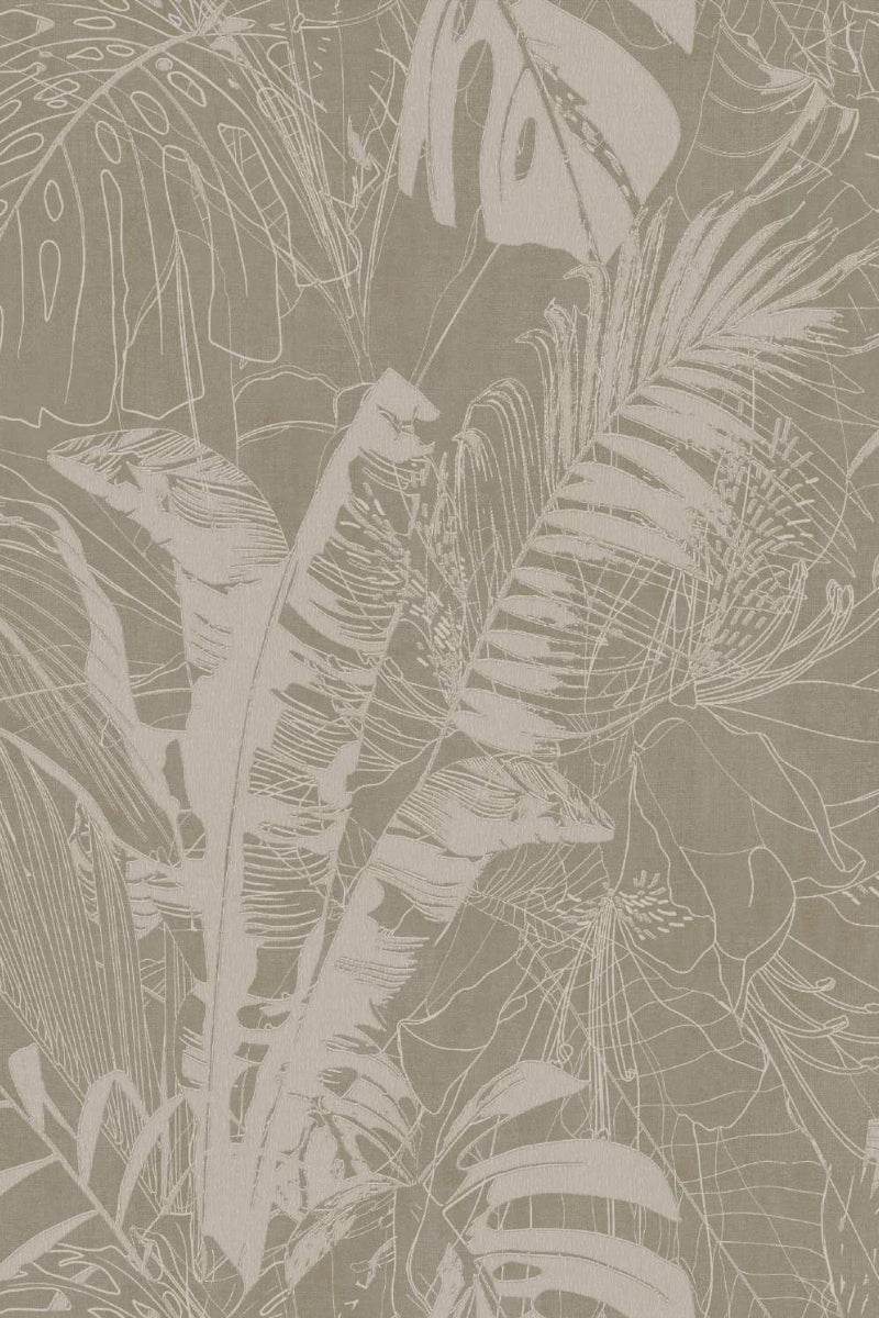 Tropicaly Palm Wallpaper