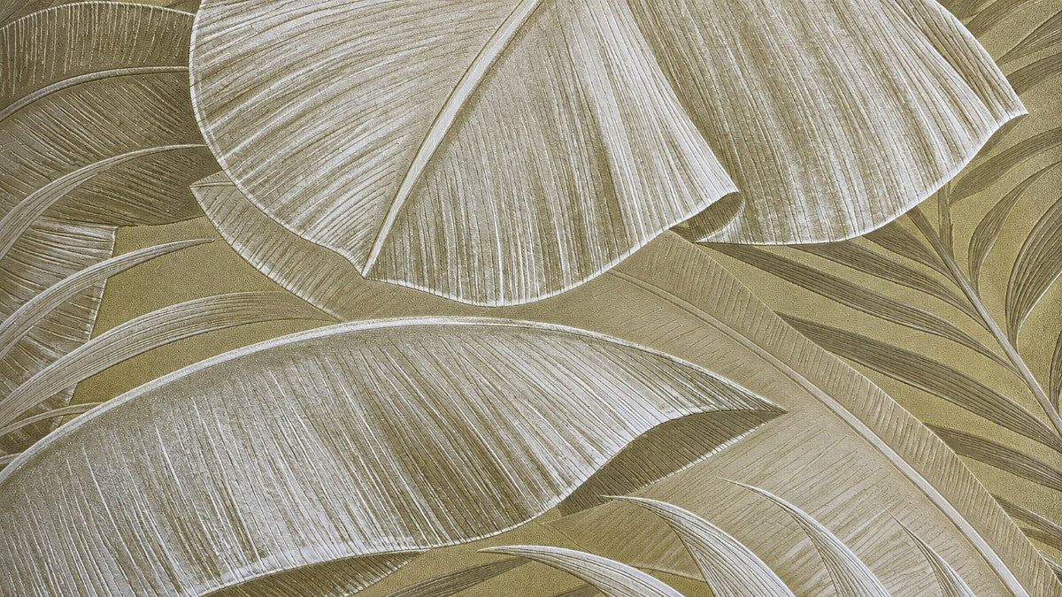 Palm Canopy Wallpaper