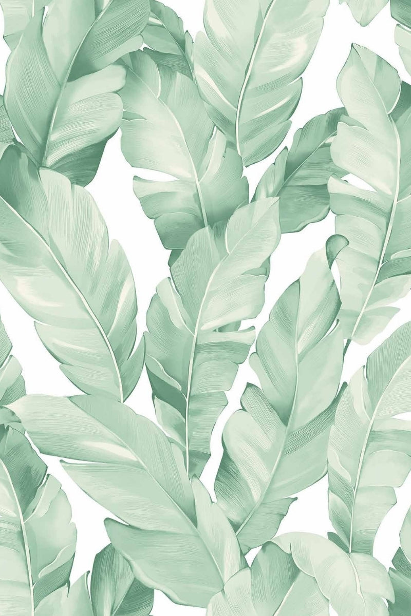 Mint Tropica Wallpaper