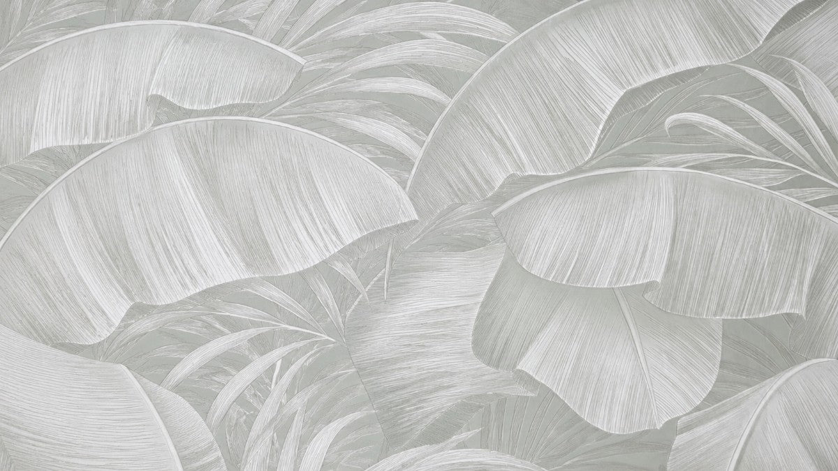 Palm Canopy Wallpaper