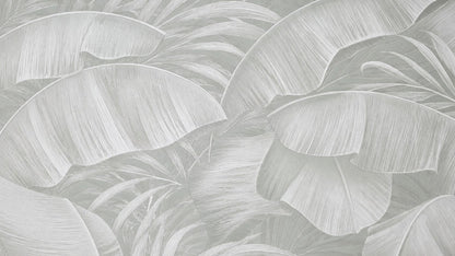 Palm Canopy Wallpaper